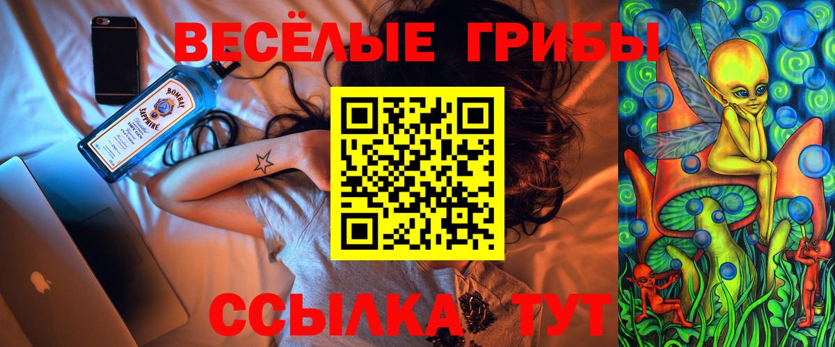 Рубцовск  купить наркотики сайты  Вход с VPN  Галлюциногенные грибы Psilocybe 